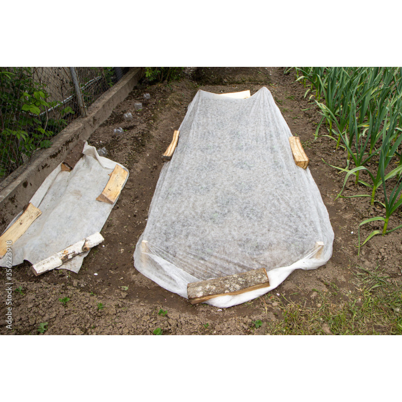 Tessuto Non Tessuto Invernale Per Piante 1,1m X 100m – Protezione Antigelo 17g/m², Traspirante E Resistente Ai Raggi UV