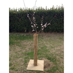 QUADROTTI PACCIAMATURA ECOLOGICA