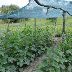 RETE 80% FRANGIVISTA OMBREGGIANTE