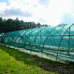 RETE OMBREGGIANTE 60%