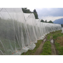 RETE ANTI AFIDE 3X5 MT